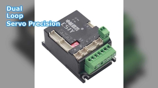 Dual-loop servo driver